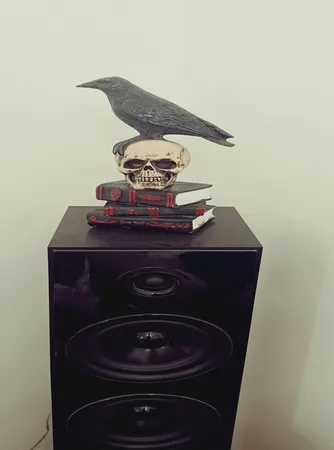 مجسمه مدل کلاغ و جمجمه و کتاب