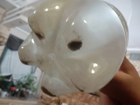 کود فسفر بالا ریشه زا فصل سبز مدل NPK-10-52-10 وزن 200 گرم