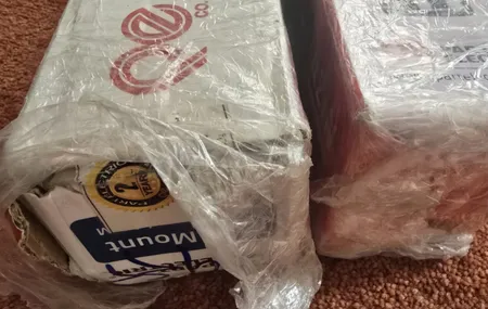 محافظ ولتاژ پارت الکتریک مدل PE6642