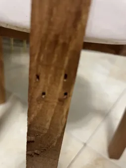 استند گلدان مدل AZ3 مجموعه 3 عددی