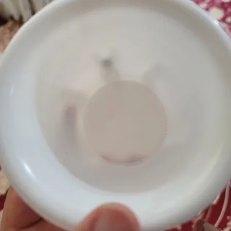 چاه بست توالت فلورا مدل F064