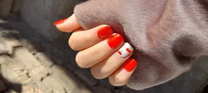 تجریه خرید قالب کاشت ناخن کانواس کد 002 بسته 100 عددی