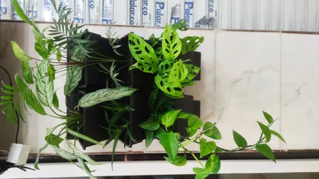 گلدان دیواری طرح دیوار سبز مدل Lotus بسته 6 عددی