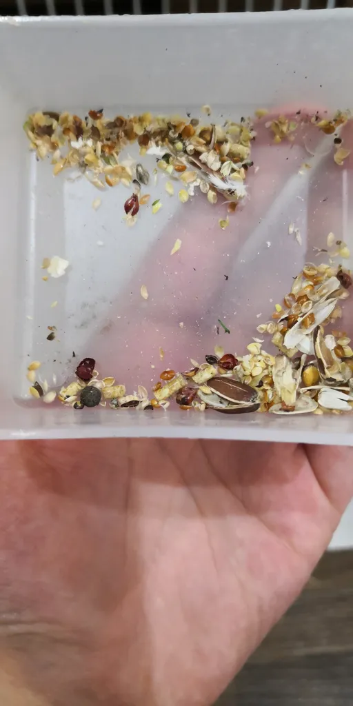 ظرف دانه مکانیزه کد 001