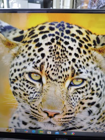 مانیتور 21.5 اینچ شیائومی مدل A22i