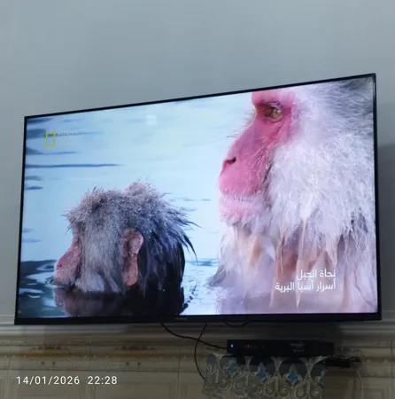 تلویزیون 55 اینچ ال ای دی هوشمند ایکس ویژن مدل 55XCU775