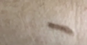 تجریه خرید مداد ابرو مودا شماره 04 EB کد 02