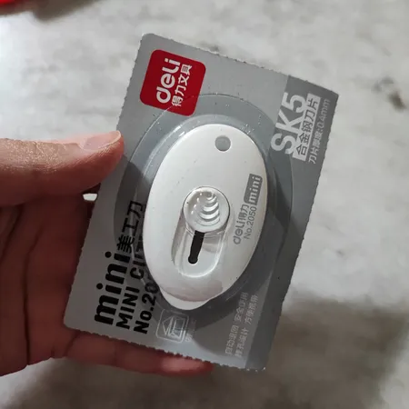 کاتر دلی مدل 2050