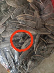 تجریه خرید تخمه آفتابگردان دور سفید هیرشا - 200 گرم