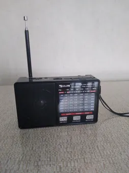 رادیو گولون مدل RX-8866BT