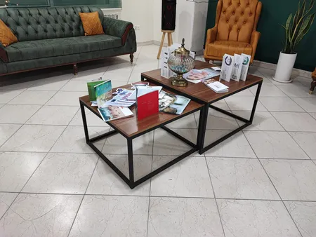 میز جلو مبلی مدل shan_el1 بسته 2 عددی