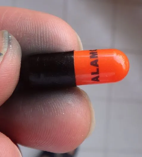 کپسول ویتامین ث با رزهیپ آلامو بسته 100 عددی