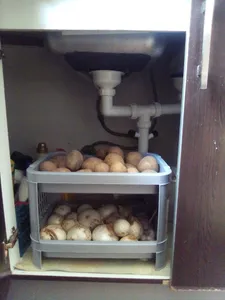 تجریه خرید سبد سیب زمینی و پیاز ونوس پلاستیک مدل P101