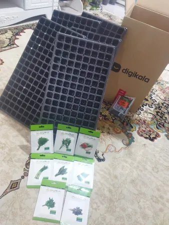 بذر سبزی خوراکی بذر طلایی برتر کد P-S-BZT-08 مجموعه 8 عددی