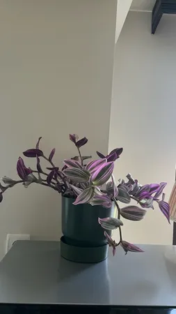 گلدان مدل دهکده کد 18