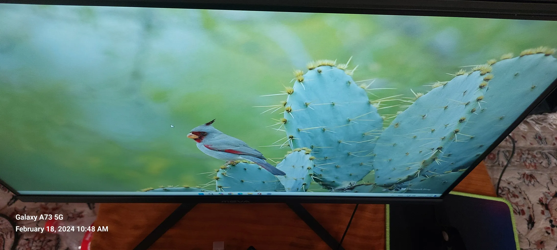 مانیتور میوا مدل 24HM2FVY-A3 سایز 24 اینچ