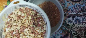 تجریه خرید بادام زمینی دو آتیشه صادراتی آنید - 1 کیلوگرم