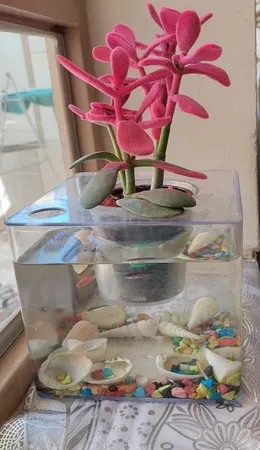 گلدان طرح آکواریوم کد ck106