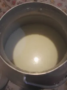 تجریه خرید کره گیر برقی مدل MILK-13 ظرفیت 13 لیتر