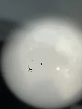 تجریه خرید لنز کلیپسی موبایل زومی مدل Super Wide Angle 0.45X