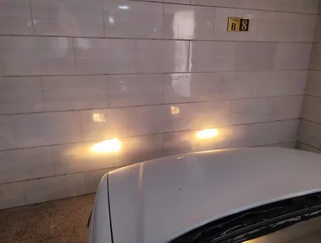 لامپ خودرو شاینی ولف مدل  H7 100/90 W 12V YELLOW بسته دو عددی