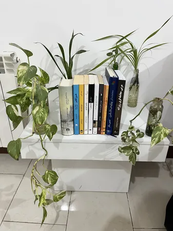 عکس ارسالی خریدار