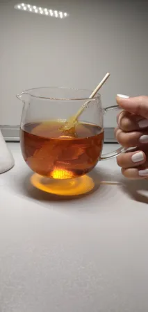 دمنوش ساز 300ml (با شعله مستقیم)مدل KINYU TEA FOR ONE TZ002