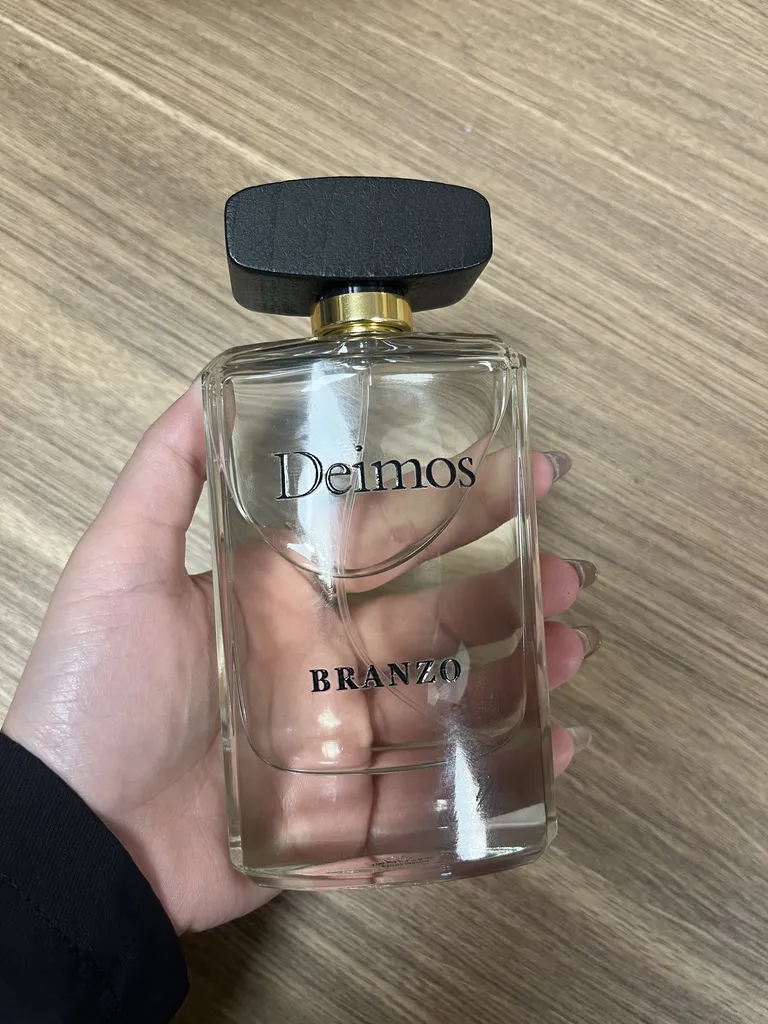 ادو پرفیوم مردانه برانزو مدل دیموس با رایحه اینویکتوس حجم 100 میلی لیتر