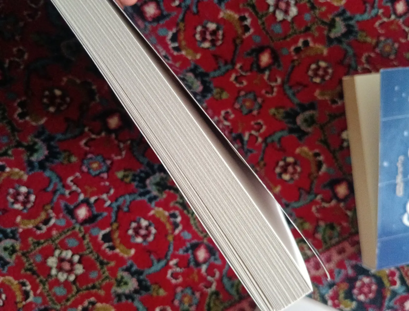 کتاب اسب سیاه اثر اگی اگاس انتشارات آیین محمود