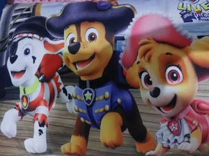 تجریه خرید روبالشی کودک هزاردستان طرح سگ های نگهبان کد rob173