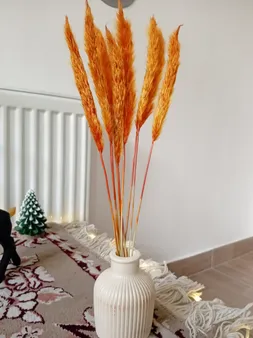 گل خشک مدل دم روباهی 10_4