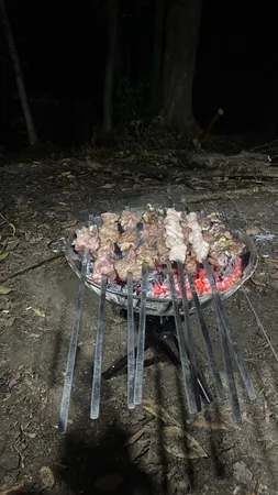 آتشدان مدل ATA10