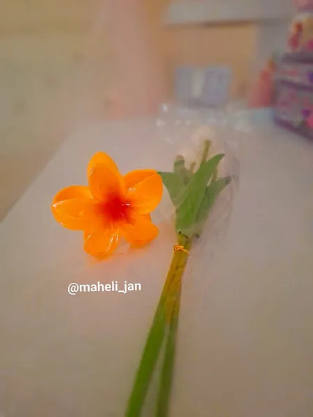 عکس ارسالی خریدار