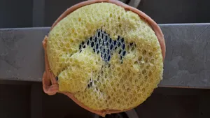 تجریه خرید اسکاچ ریمکس مدل خورشیدی