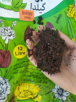 خاک برگ گیلدا کد GB12L حجم 12 لیتر