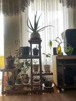 استند گلدان مدل fl9