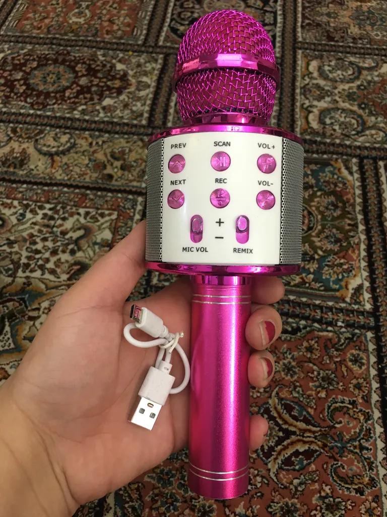 میکروفون اسپیکر وستر مدل WS-858 کد 3001378