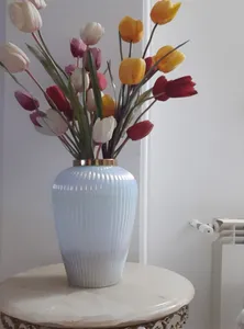 تجریه خرید گلدان دکوری مدل ارکیده خط دار