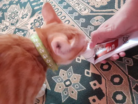 خمیر مالت گربه پرسا مدل malt+vitamin وزن 100 گرم