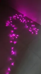 ریسه ال ای دی مدل سوزنی طرح پر طول 10 متری