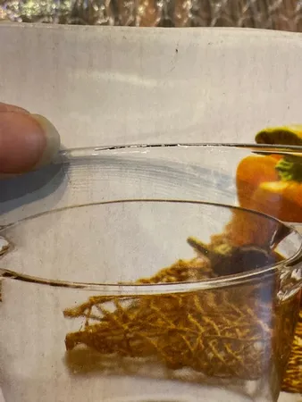 کاسه بلور کاوه مدل Leo