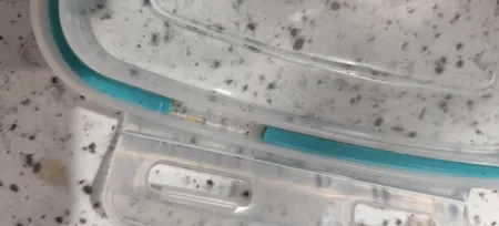 ظرف نگهدارنده تاپکو مدل 427 بسته 4 عددی