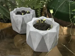 تجریه خرید بذر گل نیلوفر رونده الوان آذر سبزینه مدل A138