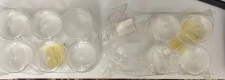 بانکه مزرعه شمال مدل استوانه ای کد 0 مجموعه 6 عددی