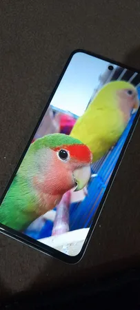 گوشی موبایل شیائومی مدل Redmi 13 دو سیم کارت ظرفیت 256 گیگابایت و رم 8 گیگابایت