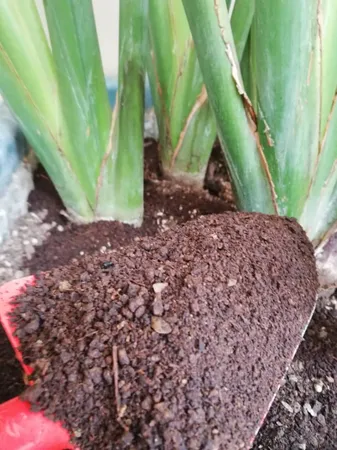 کود ورمی کمپوست گیلدا مدل GV07K وزن 7 کیلوگرم