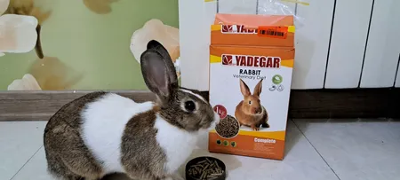 غذای پلت کامل خرگوش یادگار مدل 3314 وزن 1000 گرم