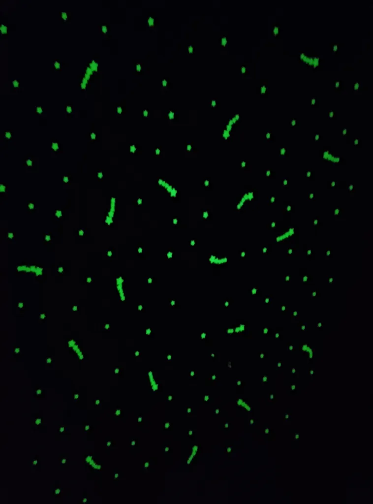 استیکر دیواری کودک هیمیا مدل شب تاب طرح ستاره بسته 50 عددی