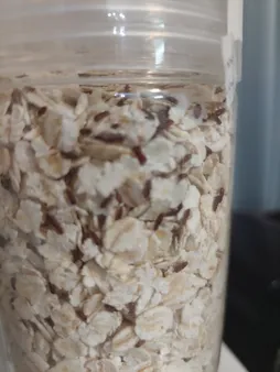 جو دوسر پرک فوری ریز سرمد - 350 گرم بسته 2 عددی