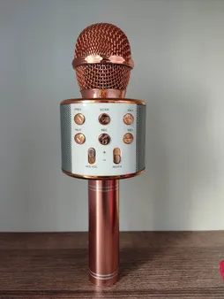 میکروفون اسپیکر بلوتوثی اسمارت بری مدل WS-858